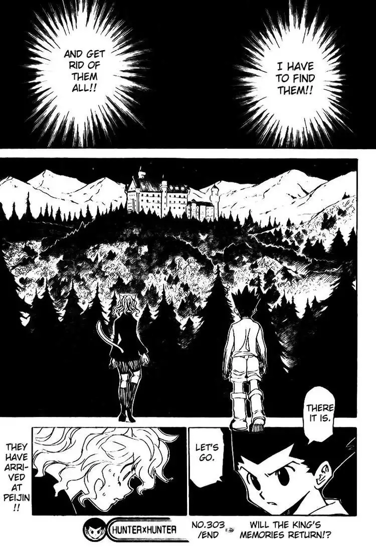 Hunter x Hunter Chapter 303 18